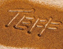 The versatile world of teff flour